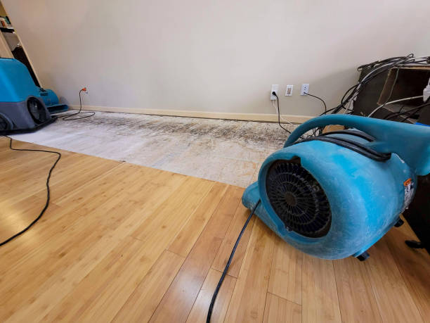 Reliable Basement Flood Cleanup contractor in Greenville, NH by Hirex Water Damage
