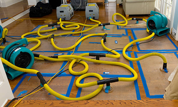 Professional Basement Flood Cleanup technician working in Greenville, NH